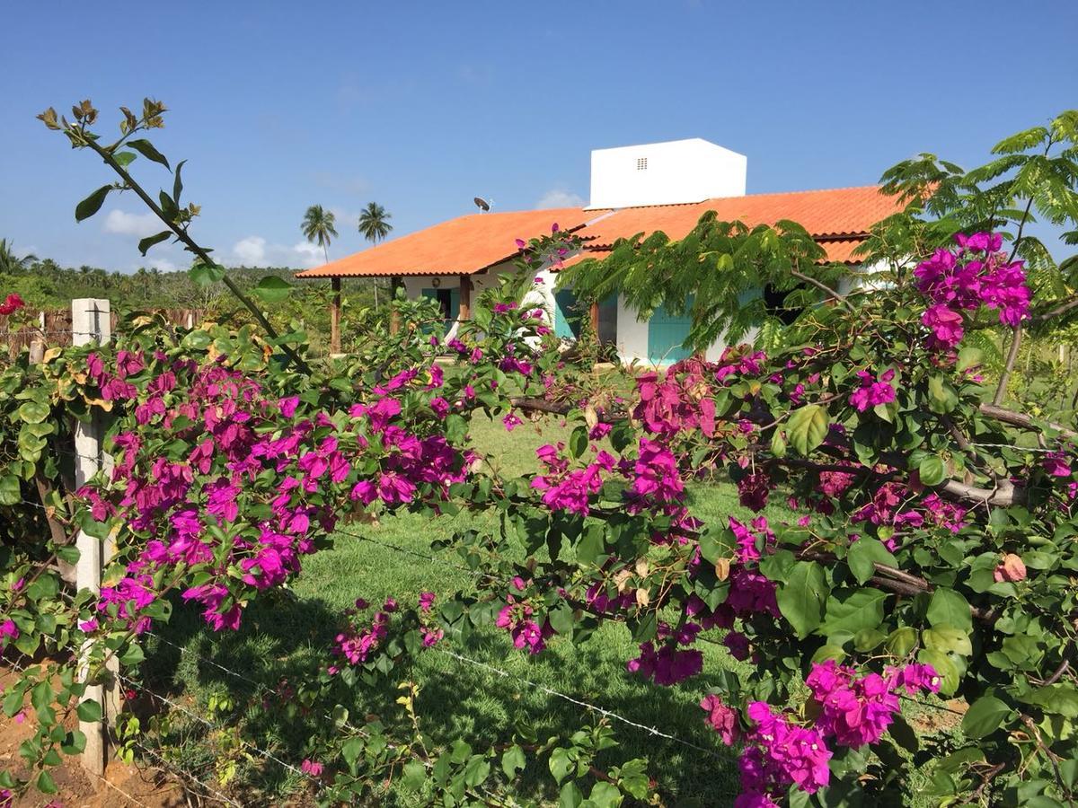 Casa Tatu Hotel Pôrto de Pedras Esterno foto